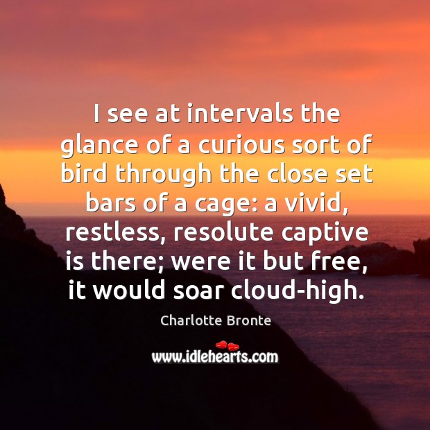 I see at intervals the glance of a curious sort of bird Charlotte Bronte Picture Quote