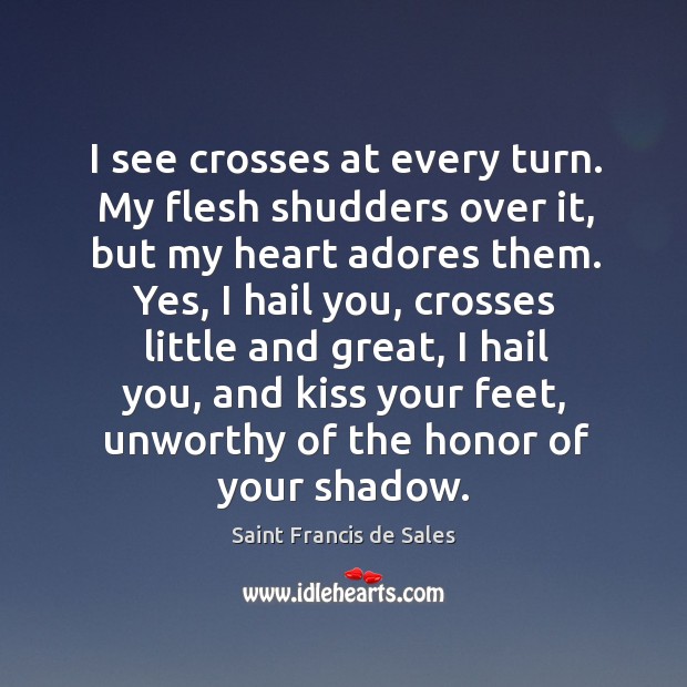 I see crosses at every turn. My flesh shudders over it, but Saint Francis de Sales Picture Quote