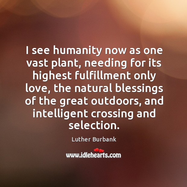 I see humanity now as one vast plant, needing for its highest fulfillment only love Image