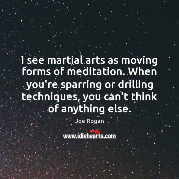 I see martial arts as moving forms of meditation. When you’re sparring Joe Rogan Picture Quote