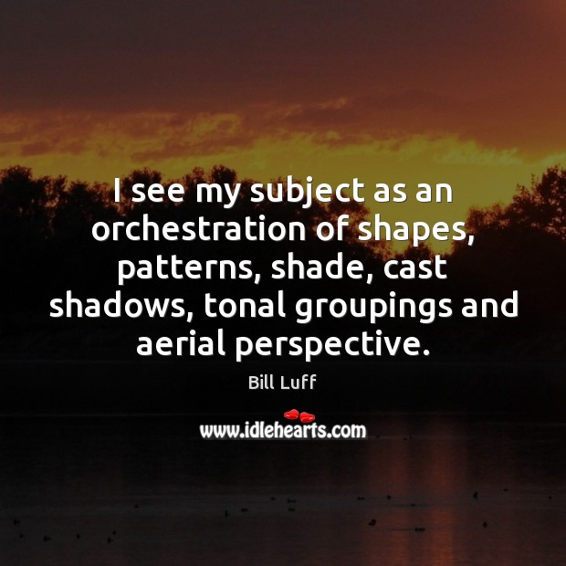 I see my subject as an orchestration of shapes, patterns, shade, cast Bill Luff Picture Quote