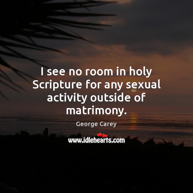 I see no room in holy Scripture for any sexual activity outside of matrimony. George Carey Picture Quote