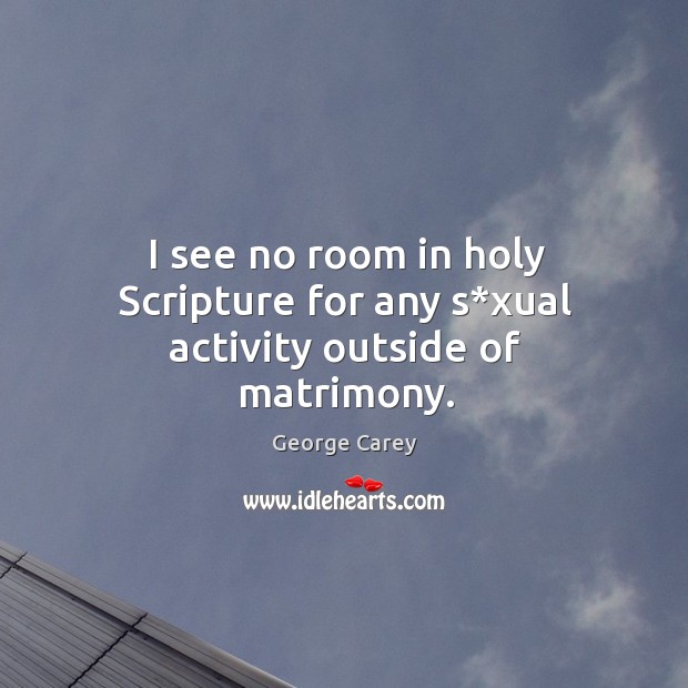 I see no room in holy scripture for any s*xual activity outside of matrimony. George Carey Picture Quote