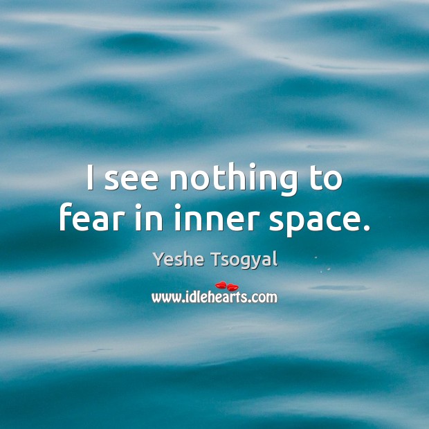 I see nothing to fear in inner space. Yeshe Tsogyal Picture Quote