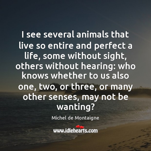 I see several animals that live so entire and perfect a life, Michel de Montaigne Picture Quote