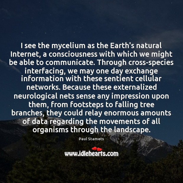 I see the mycelium as the Earth’s natural Internet, a consciousness with Paul Stamets Picture Quote