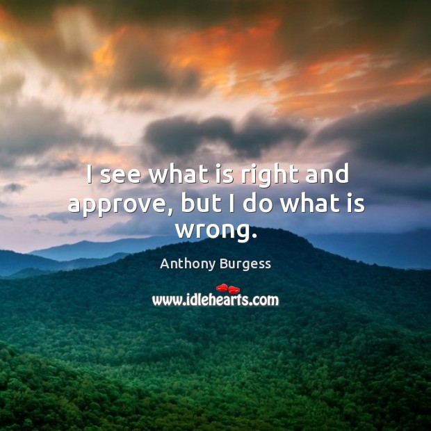 I see what is right and approve, but I do what is wrong. Image