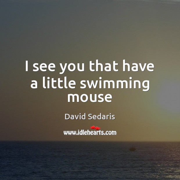 I see you that have a little swimming mouse David Sedaris Picture Quote