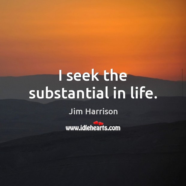 I seek the substantial in life. Jim Harrison Picture Quote