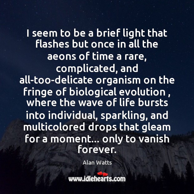 I seem to be a brief light that flashes but once in Alan Watts Picture Quote