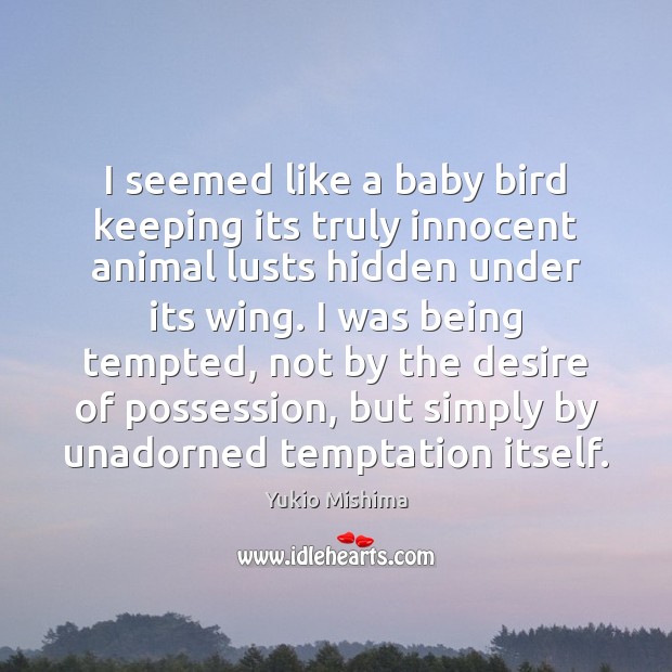 I seemed like a baby bird keeping its truly innocent animal lusts Yukio Mishima Picture Quote