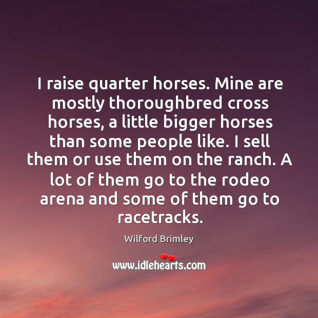 I sell them or use them on the ranch. A lot of them go to the rodeo arena and some of them go to racetracks. Wilford Brimley Picture Quote