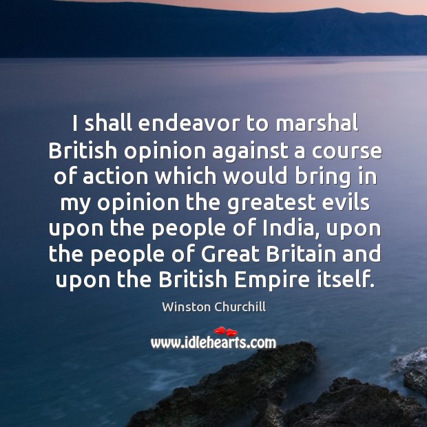 I shall endeavor to marshal British opinion against a course of action Image