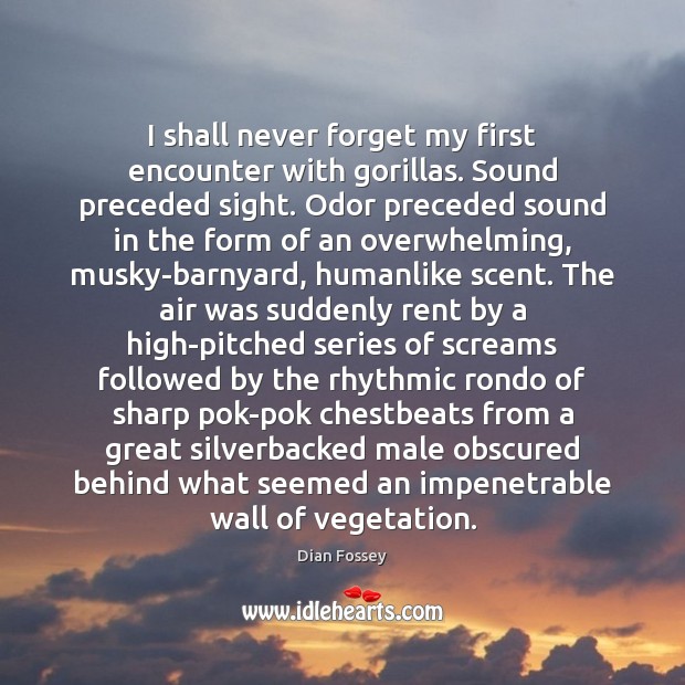 I shall never forget my first encounter with gorillas. Sound preceded sight. Dian Fossey Picture Quote