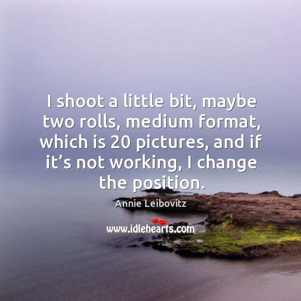 I shoot a little bit, maybe two rolls, medium format, which is 20 pictures Annie Leibovitz Picture Quote