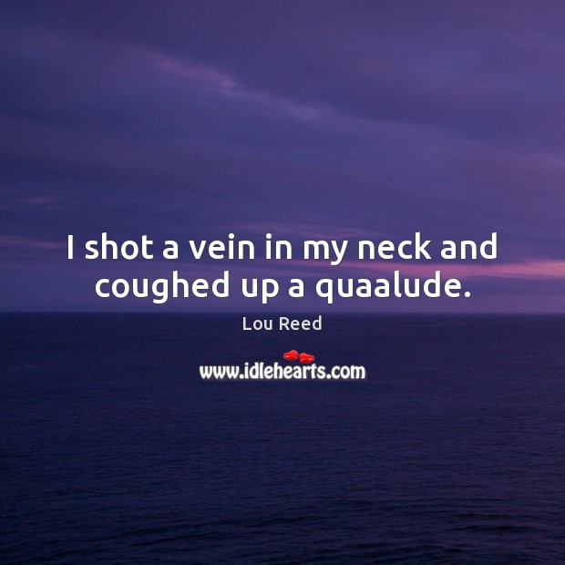 I shot a vein in my neck and coughed up a quaalude. Lou Reed Picture Quote