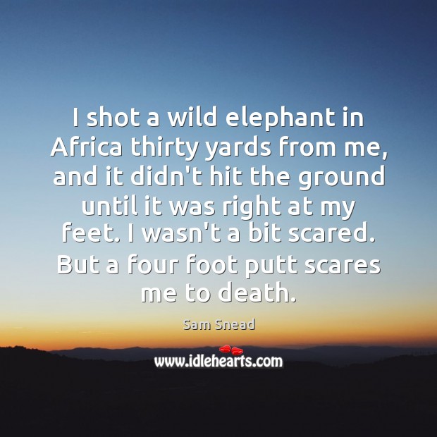 I shot a wild elephant in Africa thirty yards from me, and Sam Snead Picture Quote
