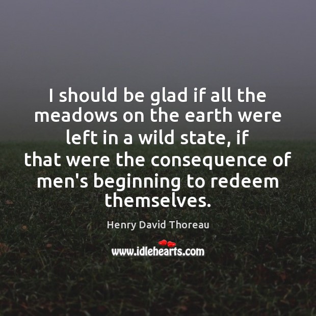 I should be glad if all the meadows on the earth were Henry David Thoreau Picture Quote