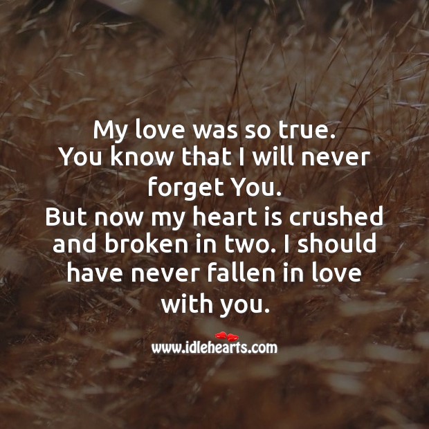 I should have never fallen in love with you. Broken Heart Messages Image