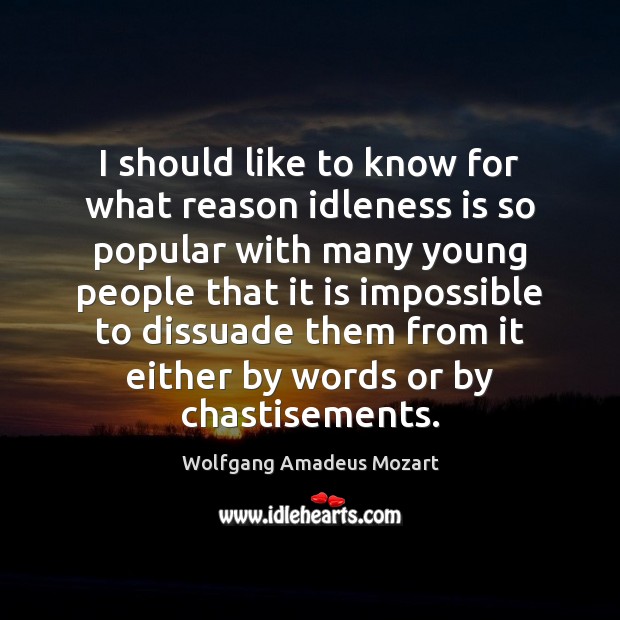 I should like to know for what reason idleness is so popular Wolfgang Amadeus Mozart Picture Quote
