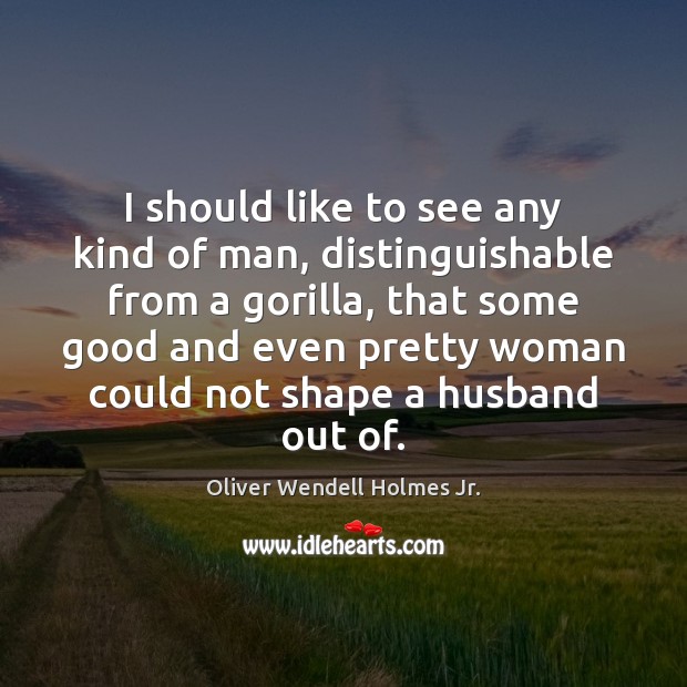 I should like to see any kind of man, distinguishable from a Oliver Wendell Holmes Jr. Picture Quote