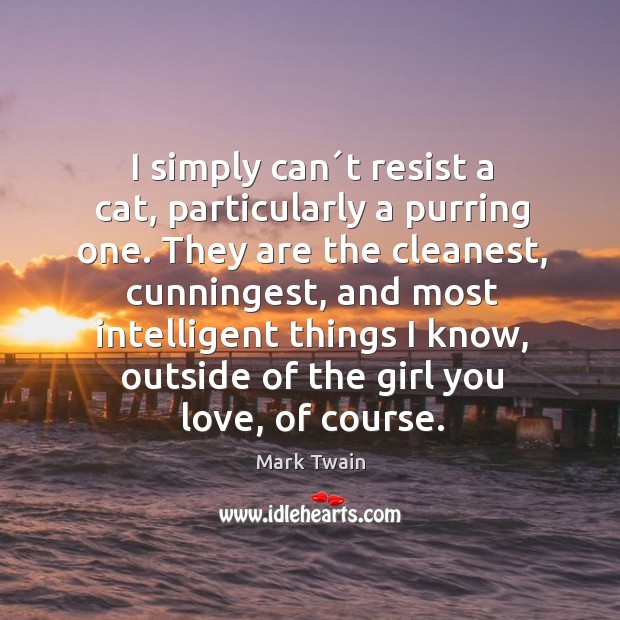 I simply can´t resist a cat, particularly a purring one. They Image