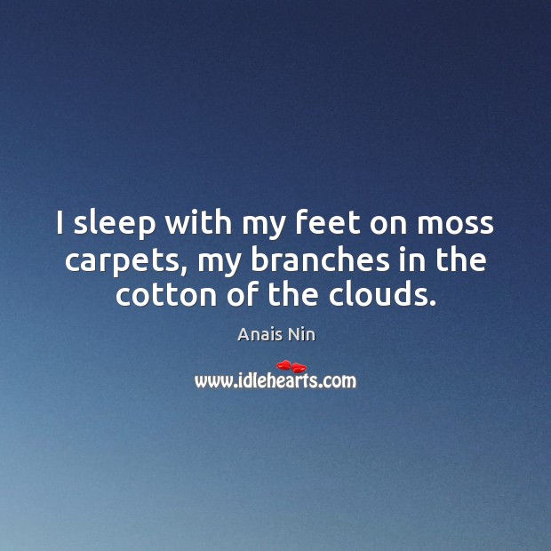 I sleep with my feet on moss carpets, my branches in the cotton of the clouds. Image