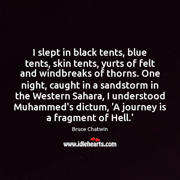 I slept in black tents, blue tents, skin tents, yurts of felt Bruce Chatwin Picture Quote