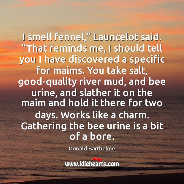 I smell fennel,” Launcelot said. “That reminds me, I should tell you Donald Barthelme Picture Quote