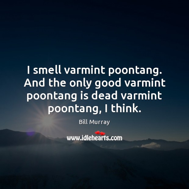 I smell varmint poontang. And the only good varmint poontang is dead Bill Murray Picture Quote