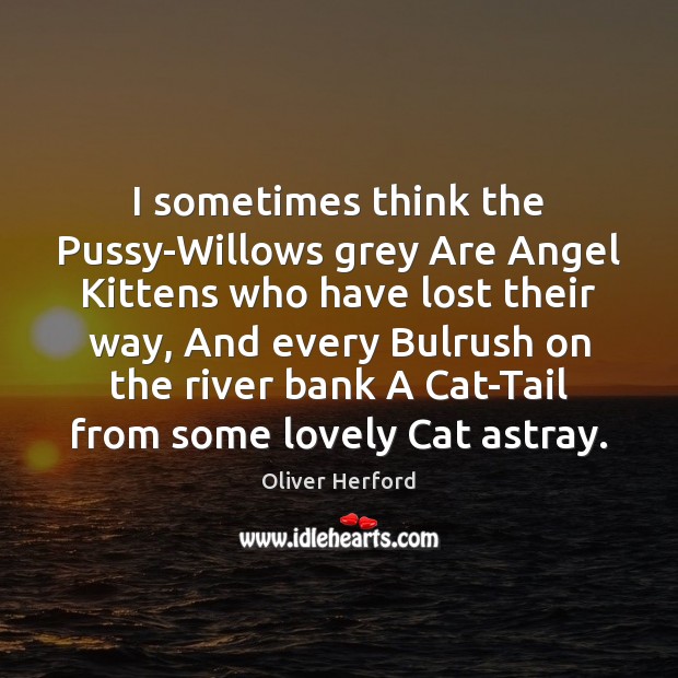 I sometimes think the Pussy-Willows grey Are Angel Kittens who have lost Oliver Herford Picture Quote