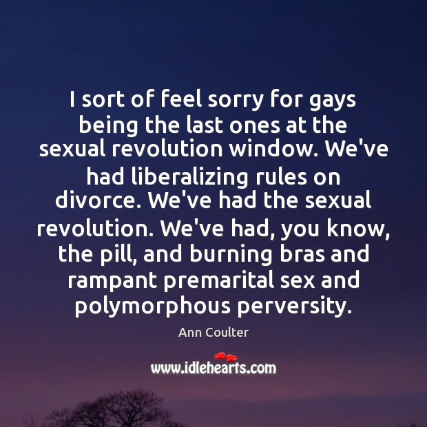 I sort of feel sorry for gays being the last ones at Divorce Quotes Image