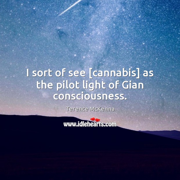 I sort of see [cannabis] as the pilot light of Gian consciousness. Terence McKenna Picture Quote