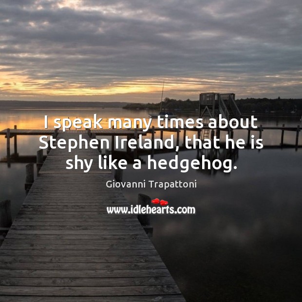 I speak many times about Stephen Ireland, that he is shy like a hedgehog. Giovanni Trapattoni Picture Quote