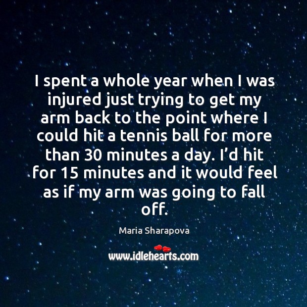 I spent a whole year when I was injured just trying to get my arm back to the point where Image
