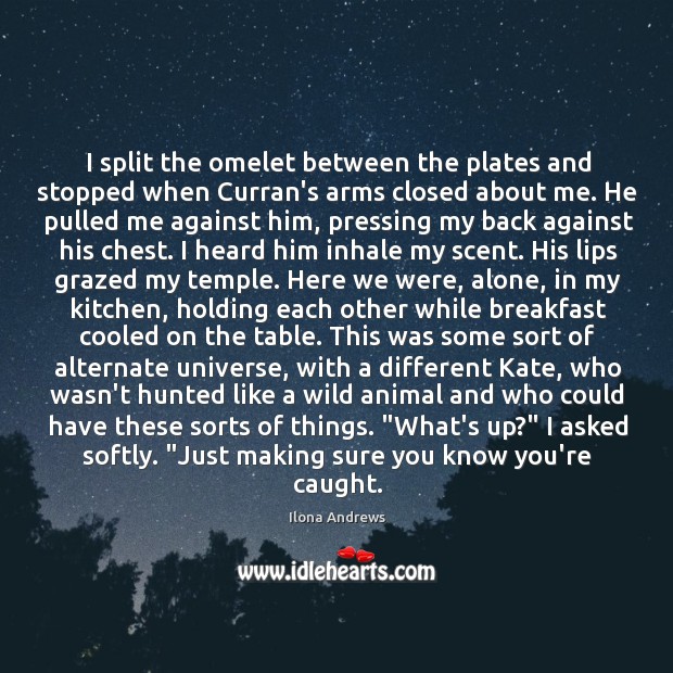 I split the omelet between the plates and stopped when Curran’s arms Ilona Andrews Picture Quote