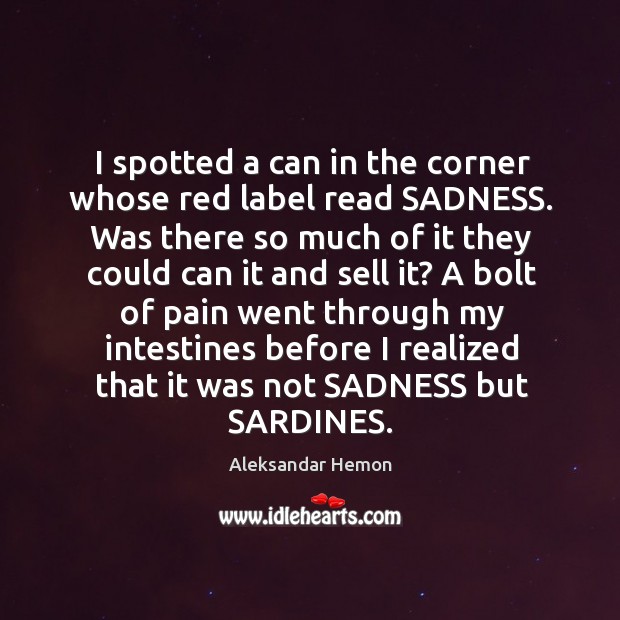 I spotted a can in the corner whose red label read SADNESS. Image