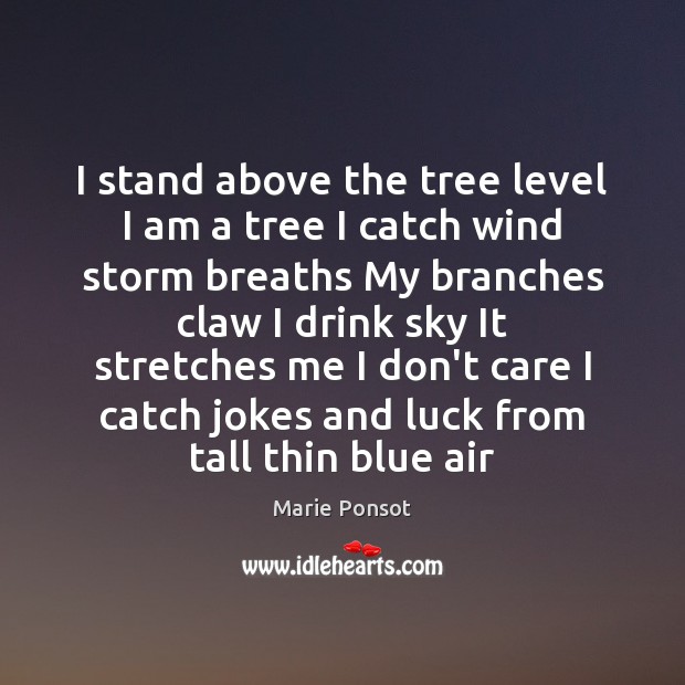 I stand above the tree level I am a tree I catch Marie Ponsot Picture Quote