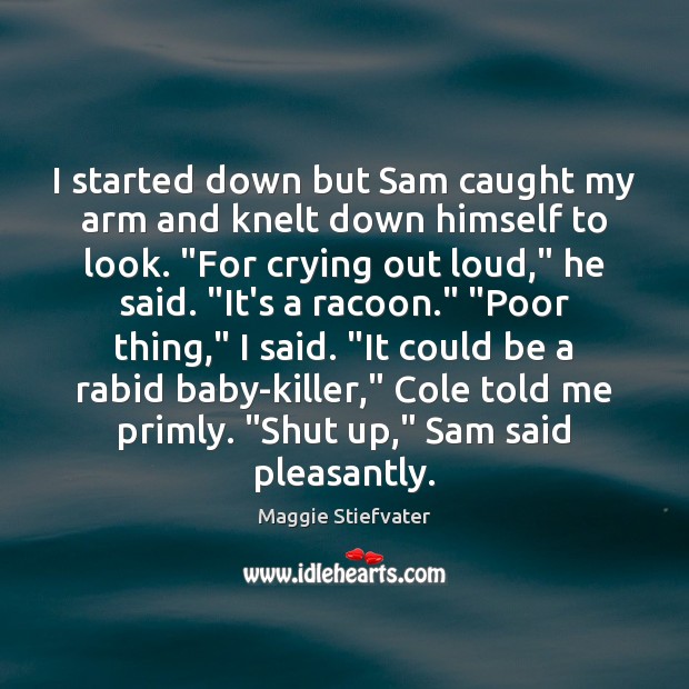 I started down but Sam caught my arm and knelt down himself Maggie Stiefvater Picture Quote