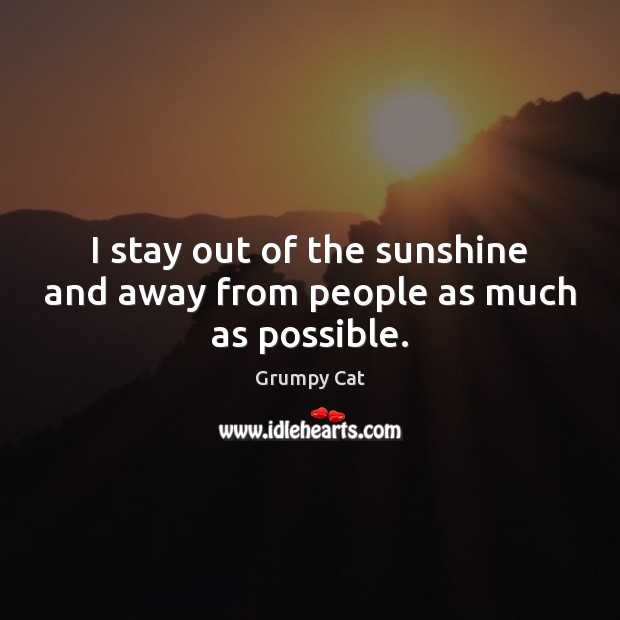 I stay out of the sunshine and away from people as much as possible. Grumpy Cat Picture Quote