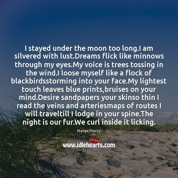 I stayed under the moon too long.I am silvered with lust. Marge Piercy Picture Quote