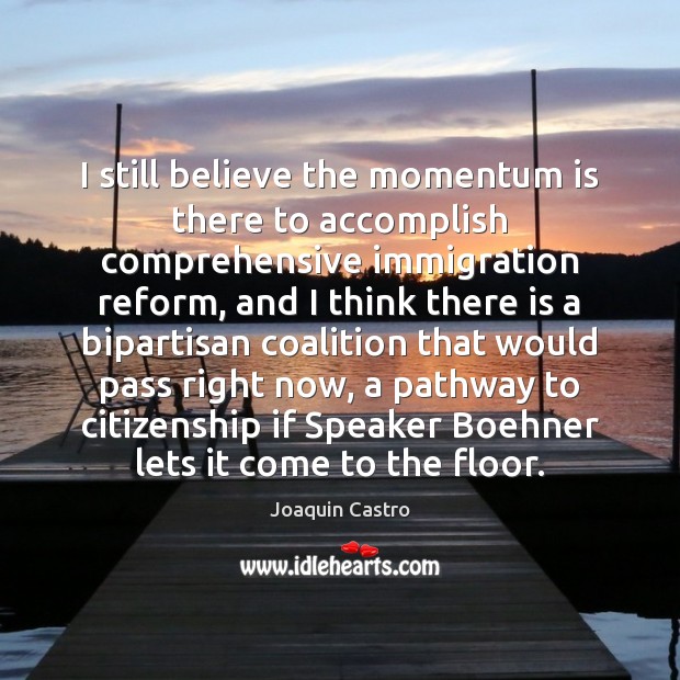 I still believe the momentum is there to accomplish comprehensive immigration reform, Joaquin Castro Picture Quote