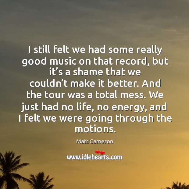 I still felt we had some really good music on that record, but it’s a shame that we couldn’t Matt Cameron Picture Quote