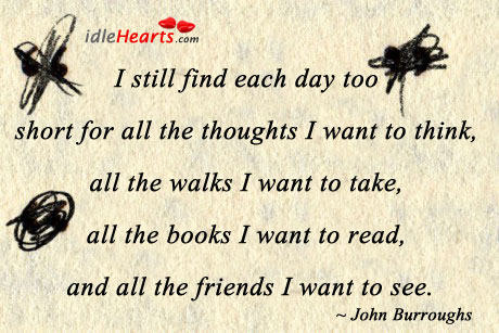 The day is too short for all the thoughts I want to think John Burroughs Picture Quote
