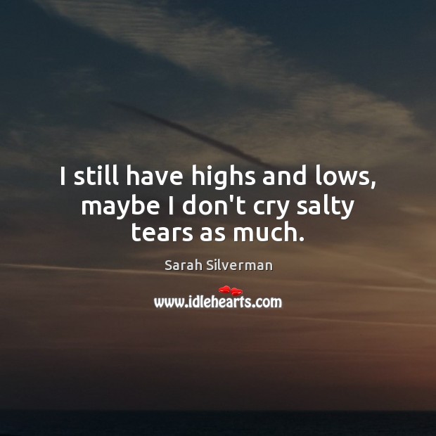 I still have highs and lows, maybe I don’t cry salty tears as much. Sarah Silverman Picture Quote