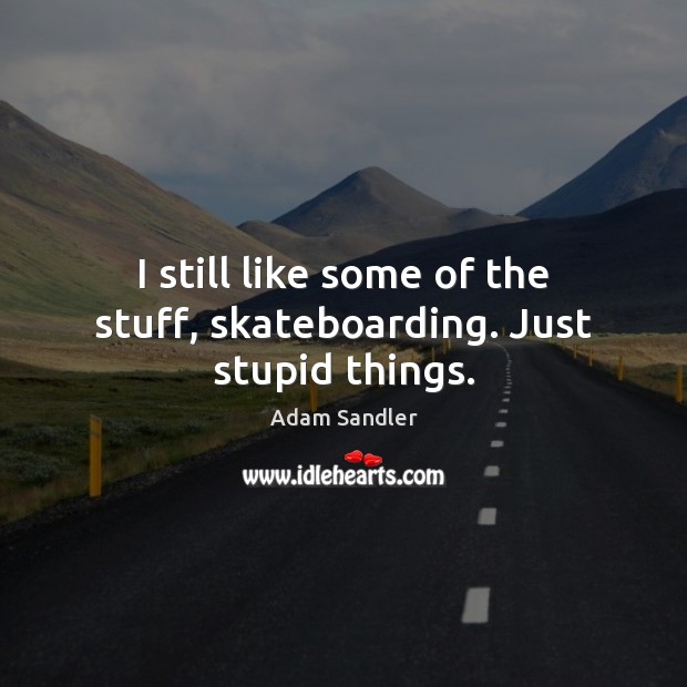I still like some of the stuff, skateboarding. Just stupid things. Adam Sandler Picture Quote