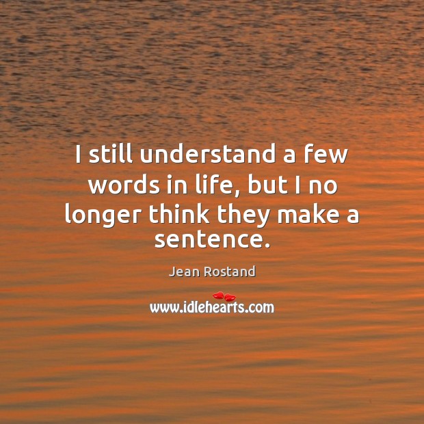 I still understand a few words in life, but I no longer think they make a sentence. Image