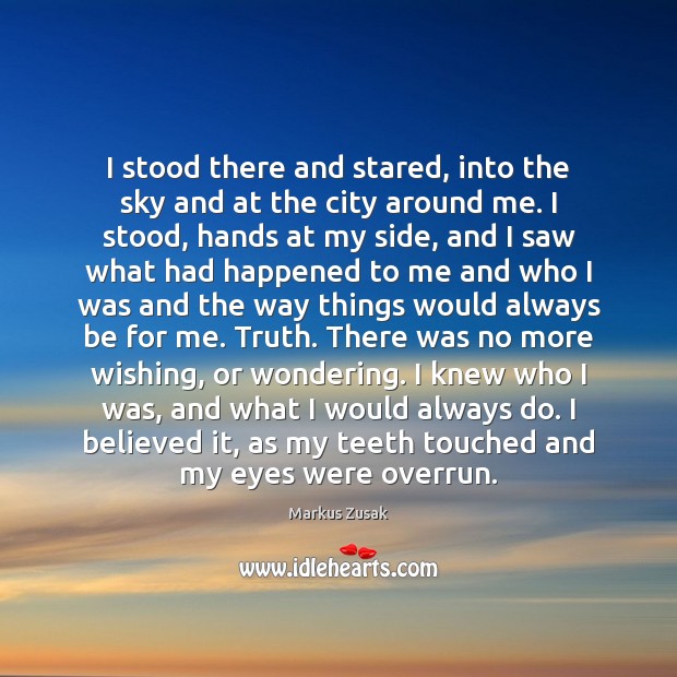 I stood there and stared, into the sky and at the city Markus Zusak Picture Quote