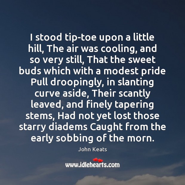I stood tip-toe upon a little hill, The air was cooling, and John Keats Picture Quote