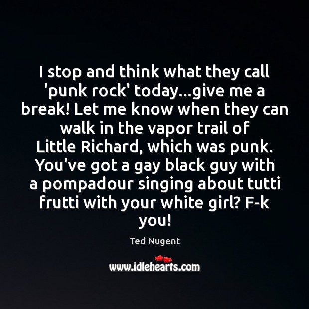 I stop and think what they call ‘punk rock’ today…give me Ted Nugent Picture Quote